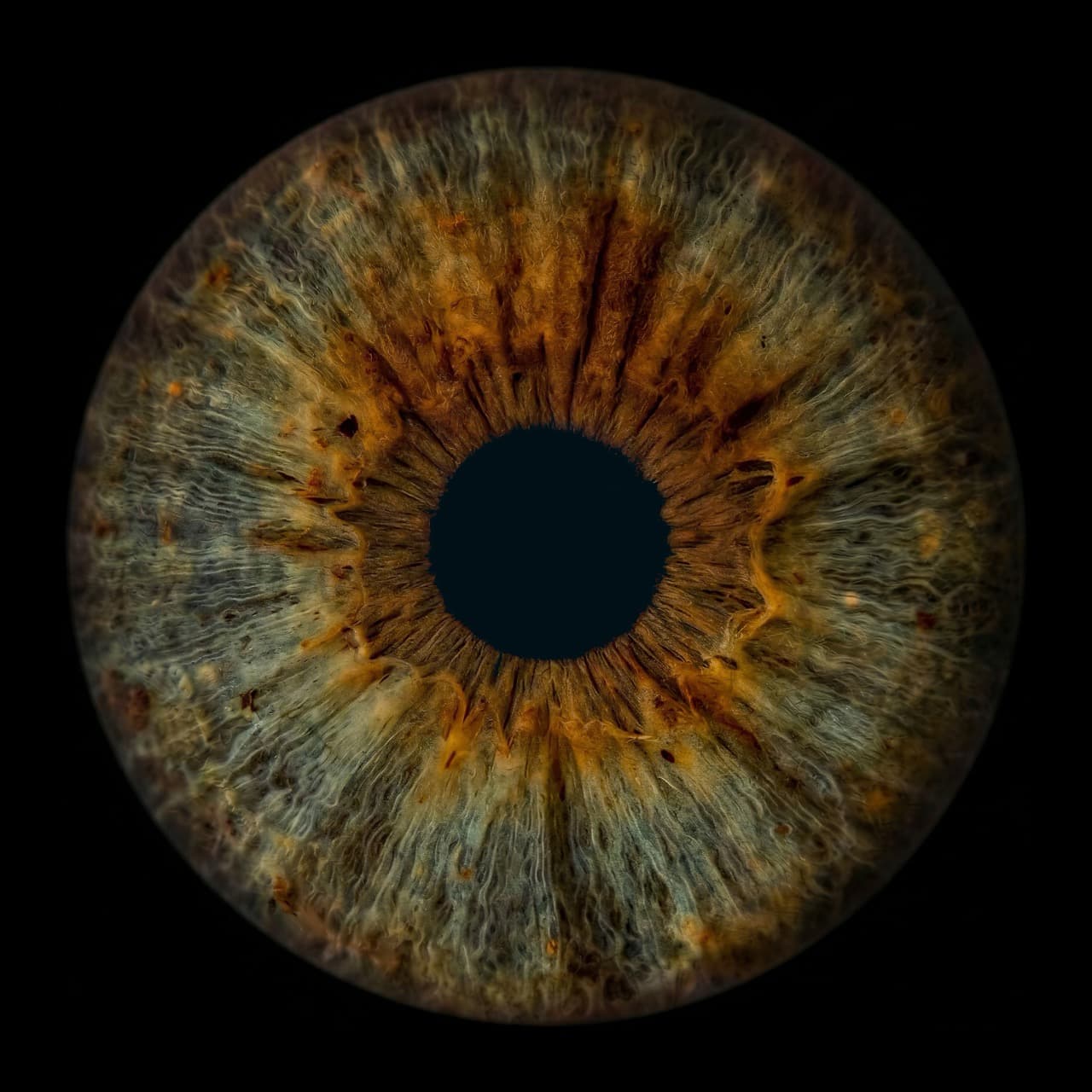 Iris artwork example 1